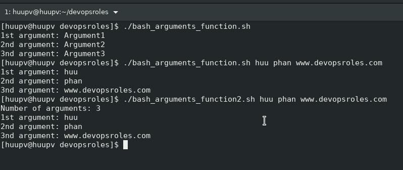 Bash script arguments into a function