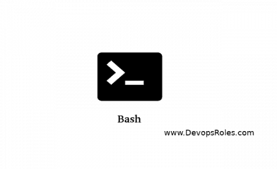 Bash Script devopsroles.com