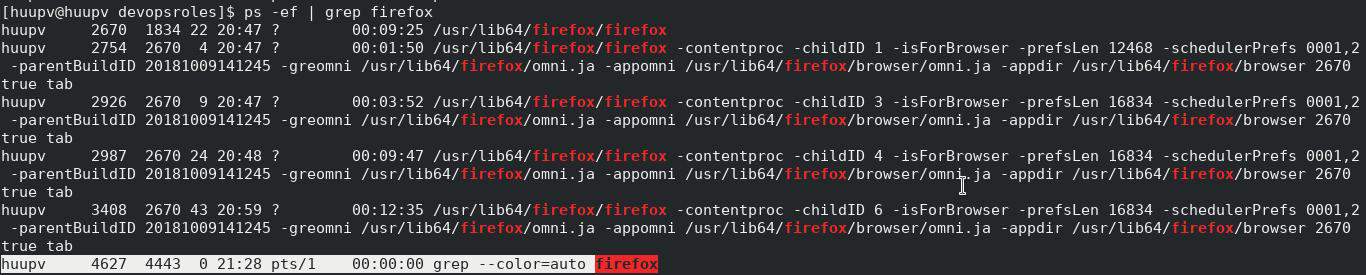 How to kill specific process in Linux