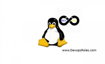 Linux DevopsRoles.com