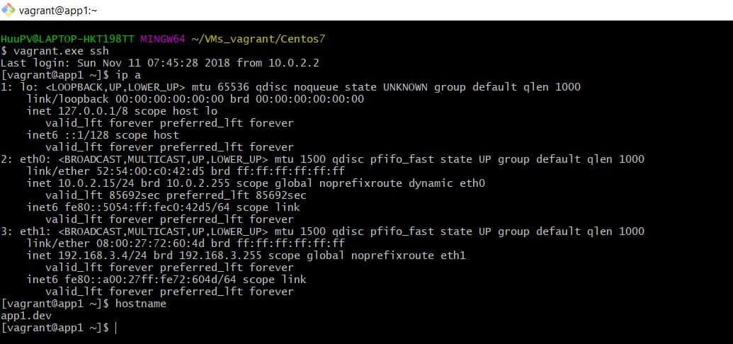 Vagrant connect VMs