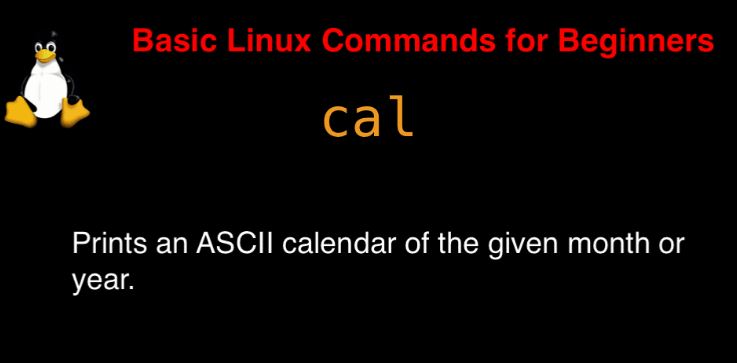 cal command in Linux with Examples