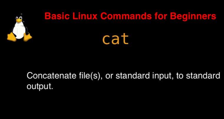 cat command in Linux with Examples