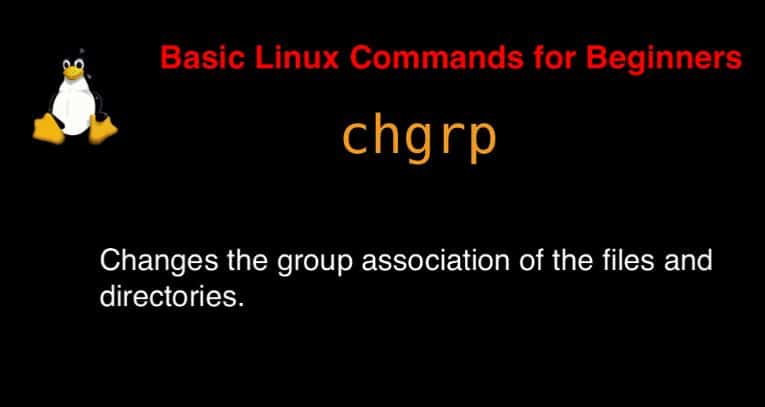 chgrp command in Linux with Examples