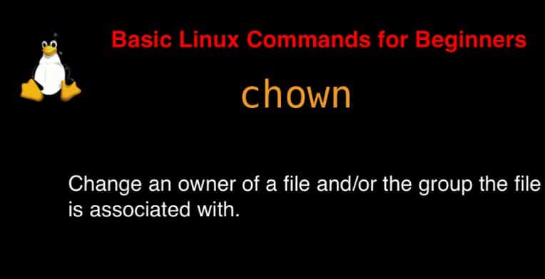 chown command in Linux with Examples