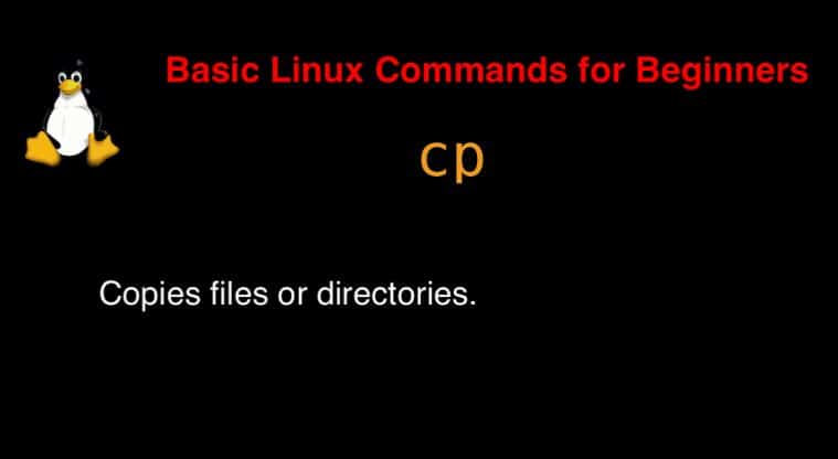 cp command in Linux with Examples