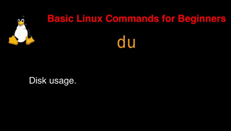 du command in Linux with Examples