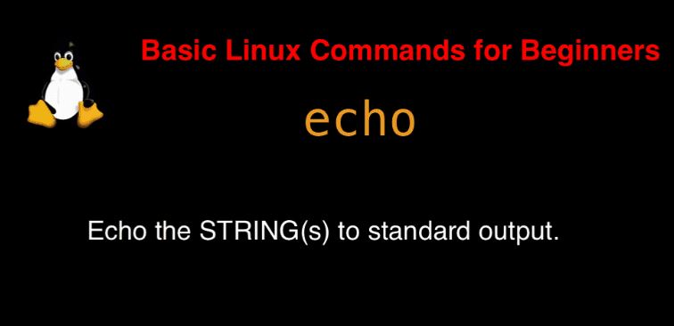 echo command in Linux with Examples