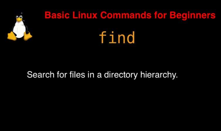 find command in Linux with Examples