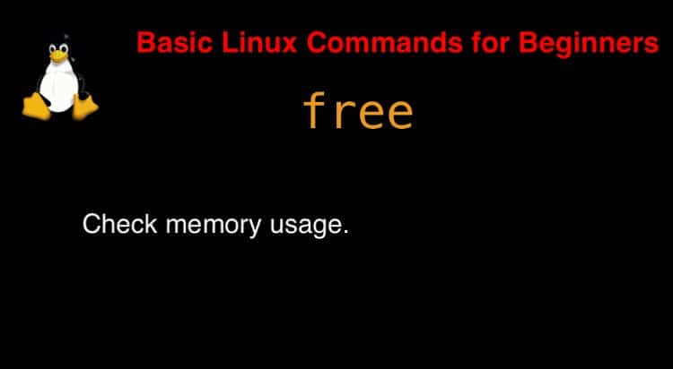 free command in Linux with Examples
