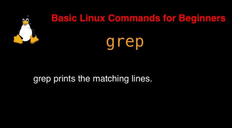 grep command in Linux with Examples