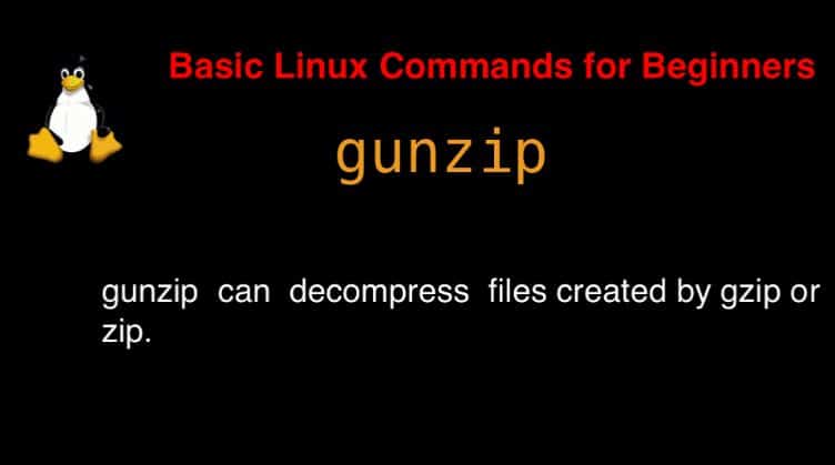 gunzip command in Linux with Examples