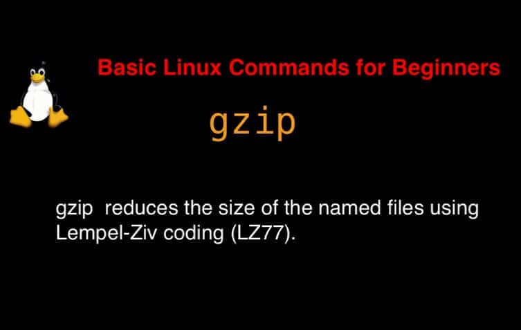 gzip command in Linux with Examples