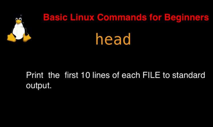 head command in Linux with Examples