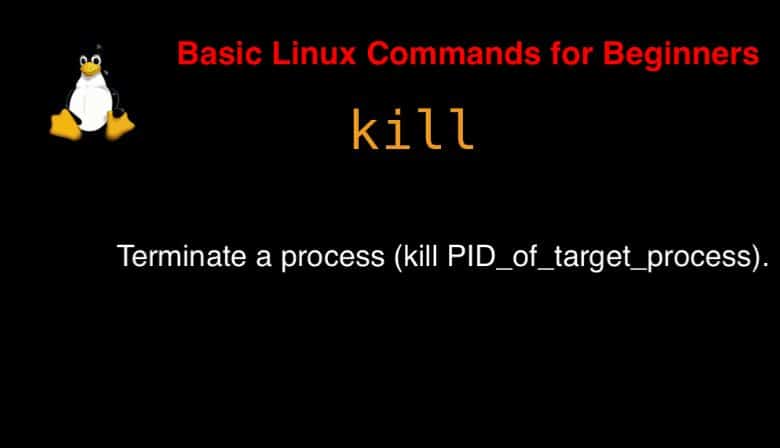 kill command in Linux with Examples
