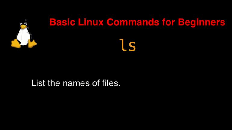 ls command in Linux with Examples
