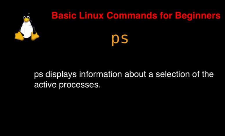 ps command in Linux with Examples