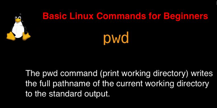 pwd command in Linux with Examples