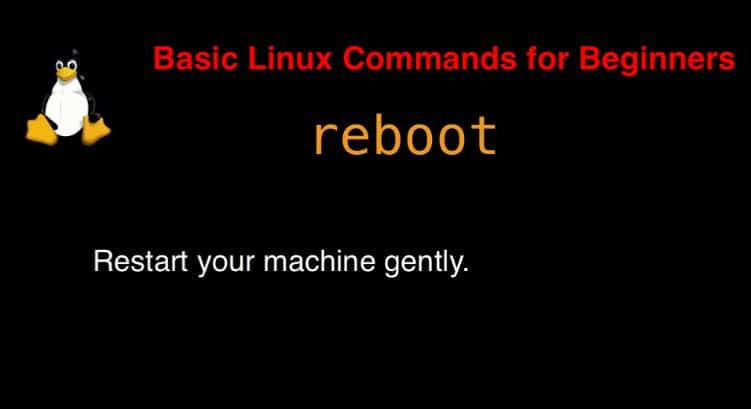 reboot command in Linux with Examples