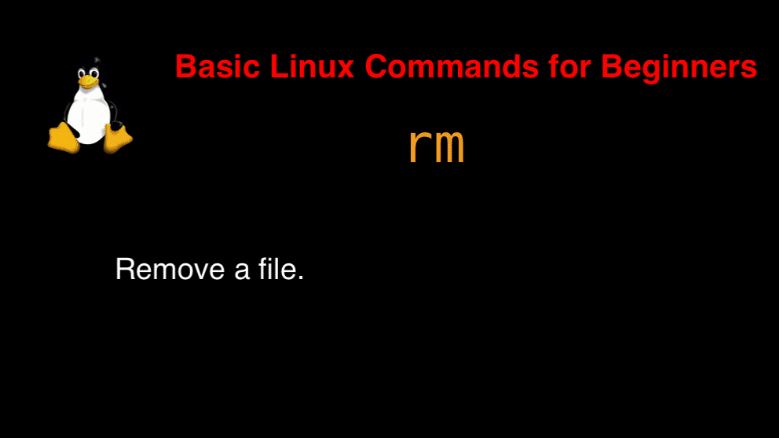 rm command in Linux with Examples