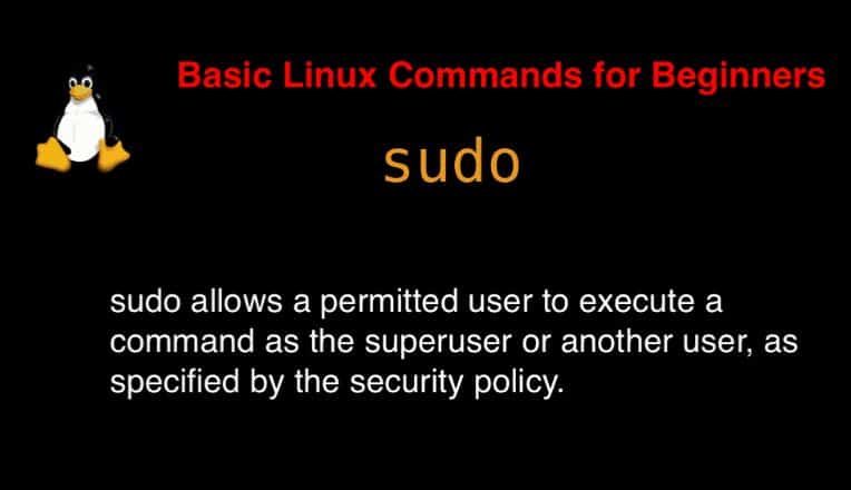 sudo command in Linux with Examples