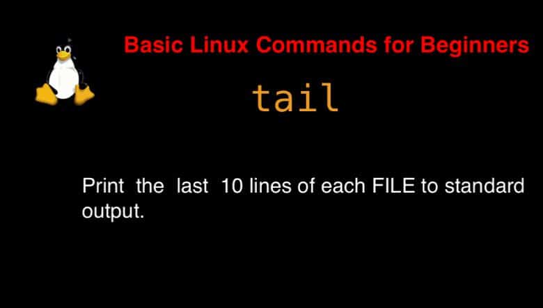 tail command in Linux with Examples