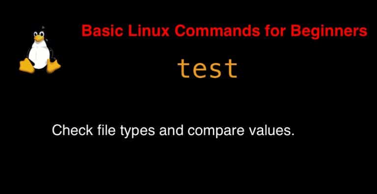 test command in Linux with Examples