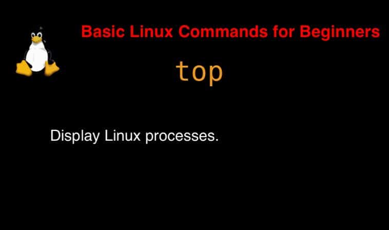 top command in Linux with Examples