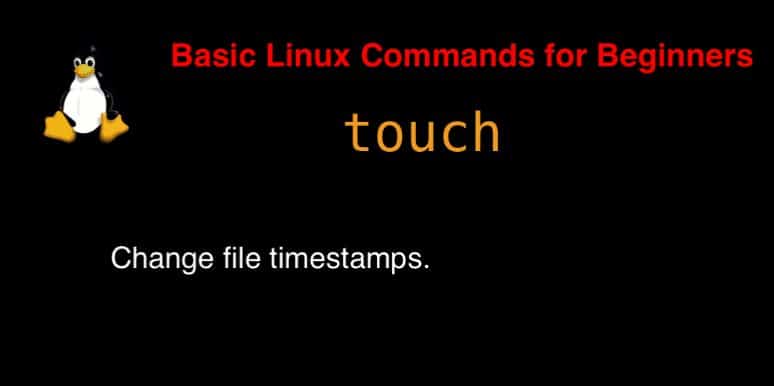 touch command in Linux with Examples