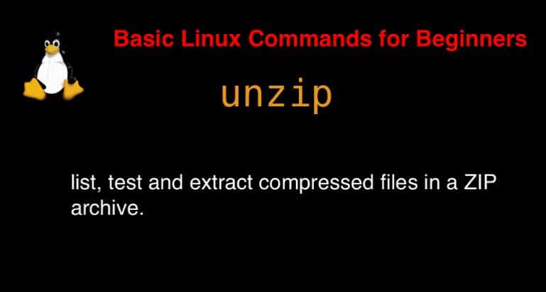 unzip command in Linux with Examples