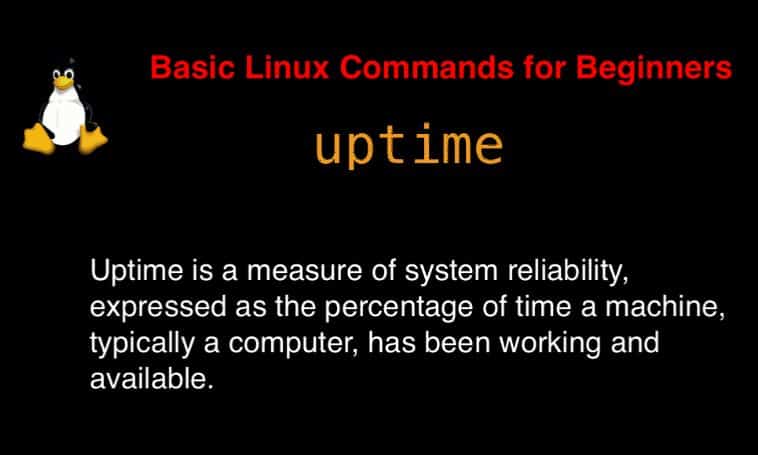 uptime command in Linux with Examples