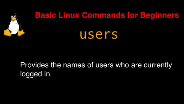 users command in Linux with Examples