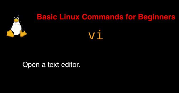 vi command in Linux with Examples