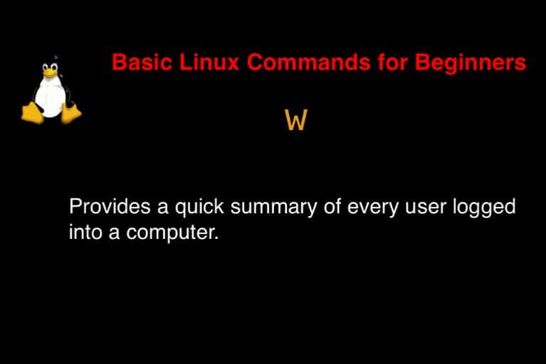 w command in Linux with Examples