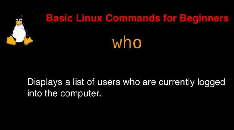 who command in Linux with Examples