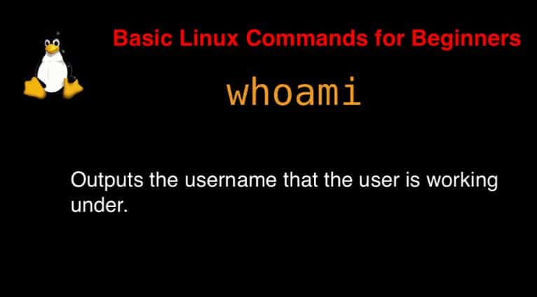 whoami command in Linux with Examples