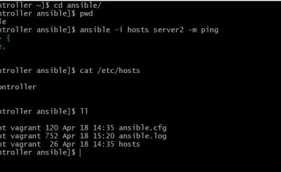Vagrant create ansible