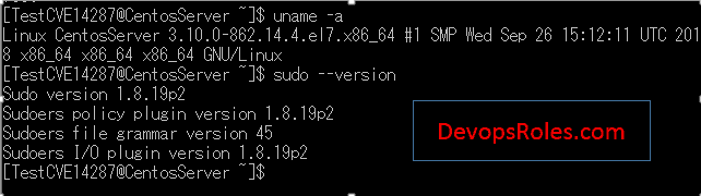 Vulnerability of sudo (CVE-2019-14287)