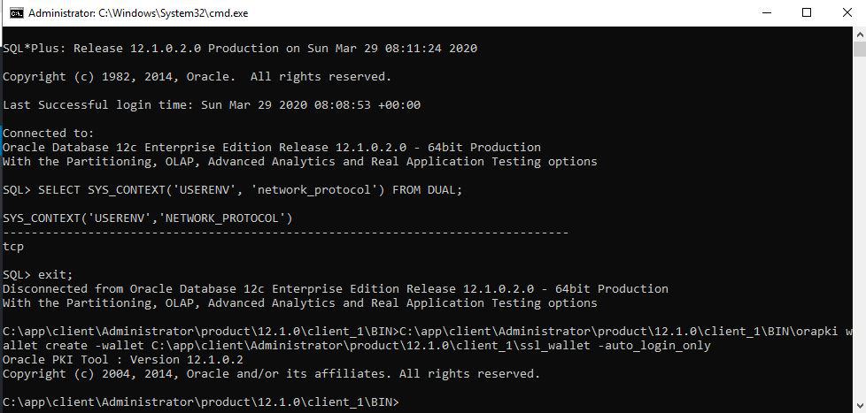 AWS RDS Oracle Database using SQL*PLUS, SQL Developer, JDBC 04