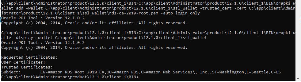 AWS RDS Oracle Database using SQL*PLUS, SQL Developer, JDBC 05