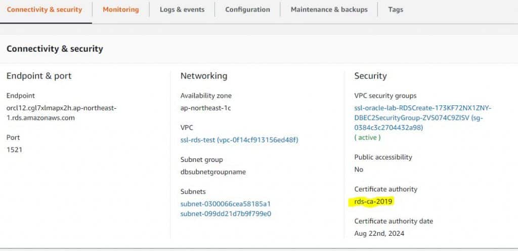 AWS RDS Oracle Database using SQL*PLUS, SQL Developer, JDBC 01