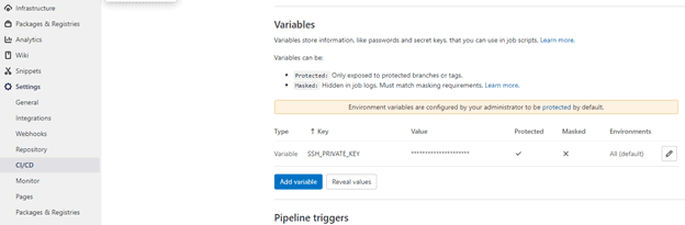 Gitlab CI/CD deploy the website to VPS