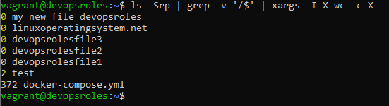 xargs command