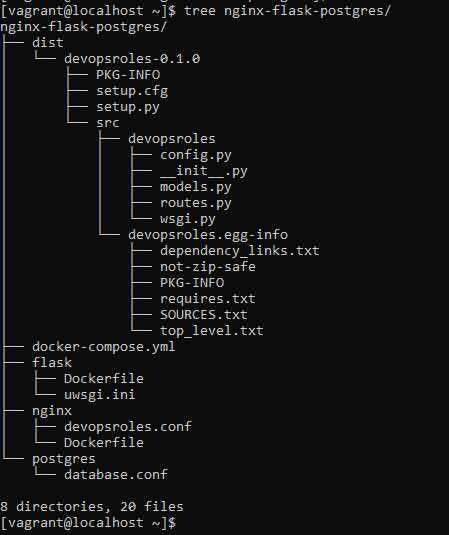 Docker setup Nginx Flask and Postgres