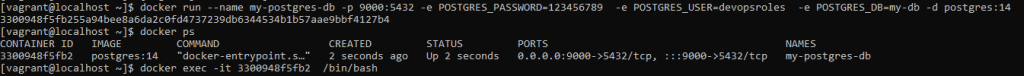 Docker run PostgreSQL