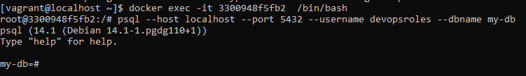 Docker run PostgreSQL