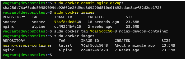 Create Docker Image from a Running Container 04