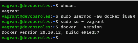 Check version docker