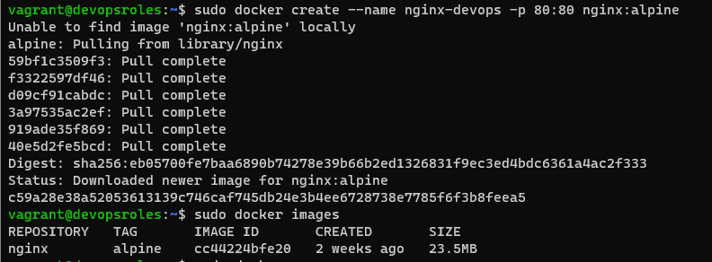 Create Docker Image from a Running Container