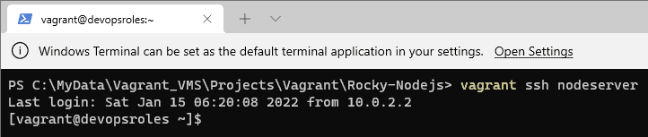Vagrant install Nodejs on Rocky Linux